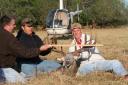 The Heart Attack Buck