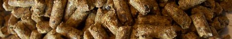 White-tailed Deer and Protein Needs