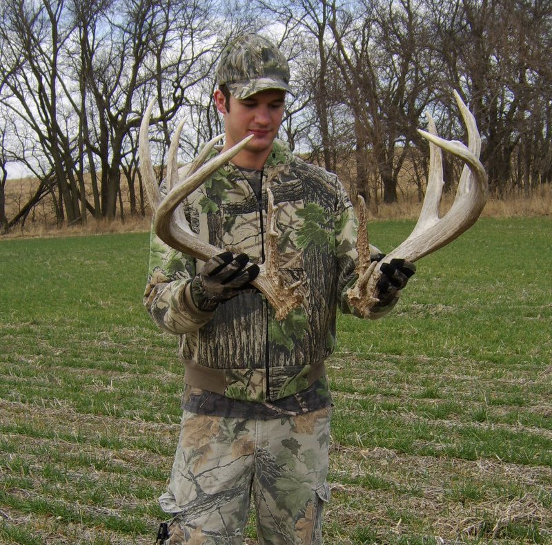 Buck Sheds