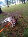 Monster Buck Hit By Car in Houston