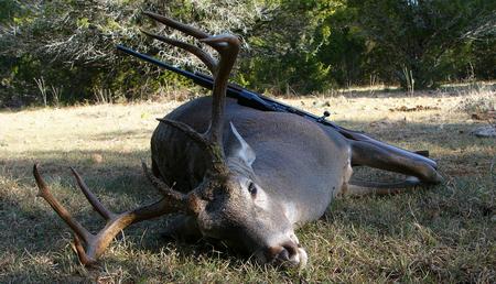 Texas gets new Deer Hunting Regulations