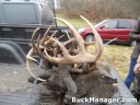 Three Bucks Found Locked Up in Ohio Three Bucks Found Locked Up in Ohio