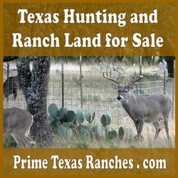 Texas Land for Sale