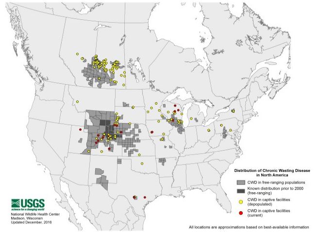 Chronic Wasting Disease in White-tailed Deer