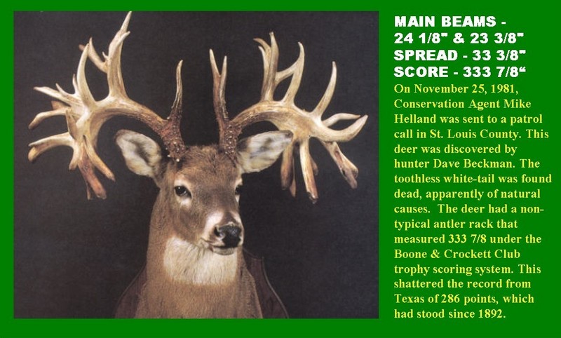 Missouri Monarch: The World Record Non-Typical Whitetail Buck