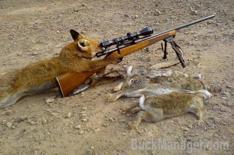 Varmint Hunting Humor