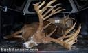 Big Whitetail Bucks of 2007