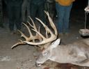 Big Whitetail Bucks of 2007