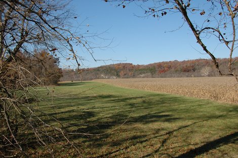 Bottomlands are Important White-tailed Deer Habitat