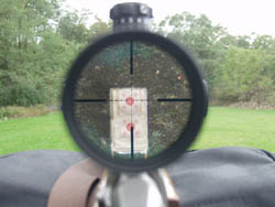 Tips for Choosing a New Rifle Scope