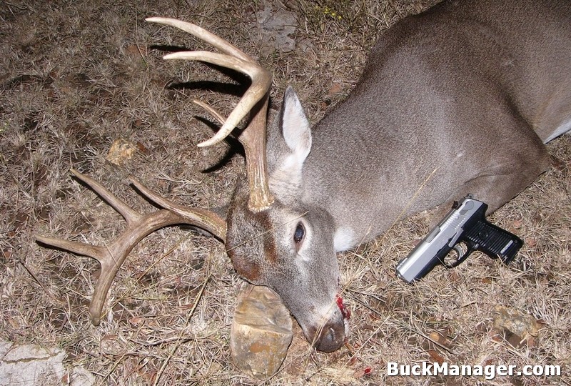 Using a Pistol for Hunting White-tailed Deer