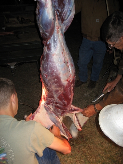 Deer Hunting:  Work Not Done After the Shot