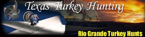 Texas Turkey Hunting.net