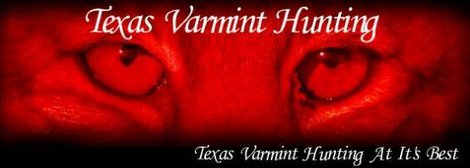 Texas Varmint Hunting.com