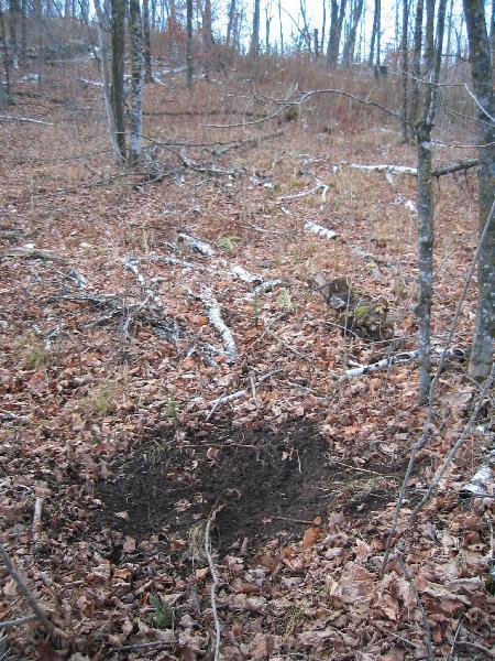 Hunting Whitetail Bucks Using a Mock Scrape