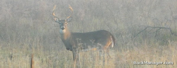 Strategies for Late Season Deer Hunting Success