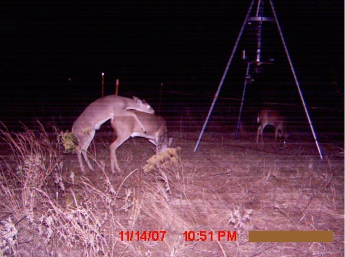 Amazing Game Camera Photo