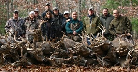 A Bunch of Bucks Harvested