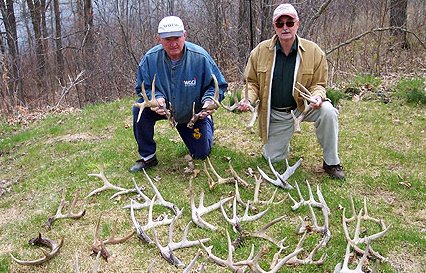 Best Time to Find Cast Antlers