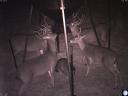 Great game camera photos