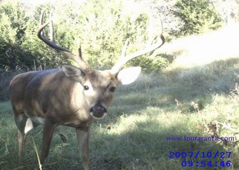 Great game camera photos