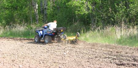 The Best Whitetail Deer Food Plots