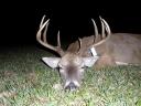 Swanson Ranch in Colorado County, Texas, produces a nice 10 point white-tailed buck