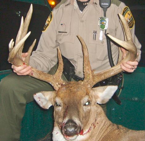 Poaching Hurts Deer Hunters and Managers