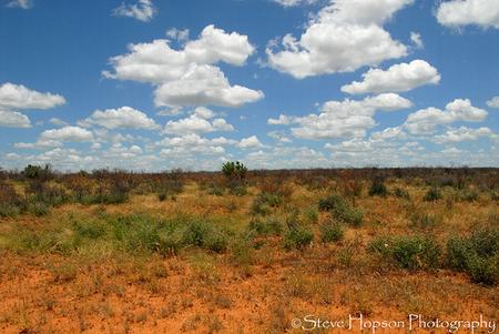 Chaparral WMA Post-Fire