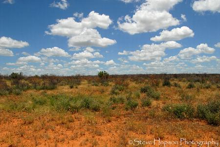 Chaparral WMA Post-Fire