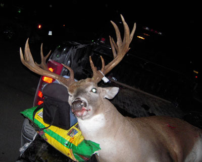 Female Bowhunter Bags 19 Point Buck
