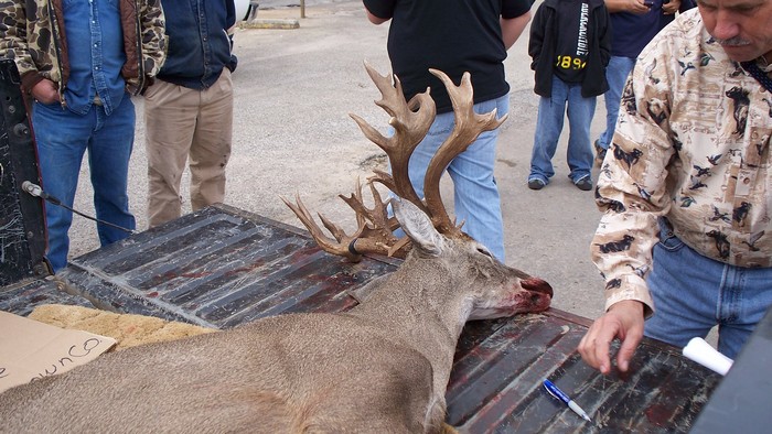 Big Non-typical Whitetail Buck from Brown County