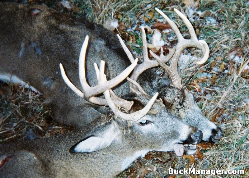 Hunter Tags Two Locked Bucks