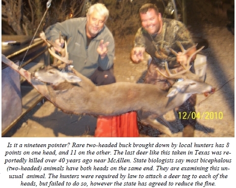 Two Headed Buck Deer in Texas?