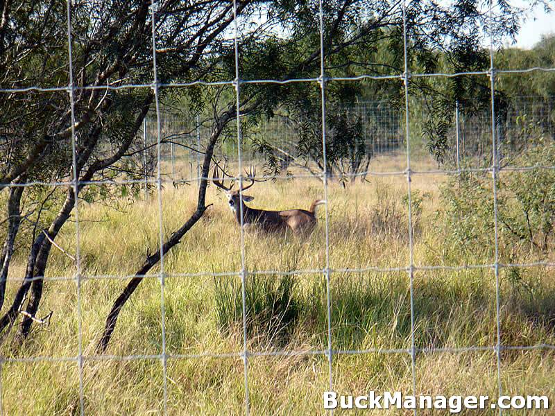 White-tailed Deer Range and High Fences