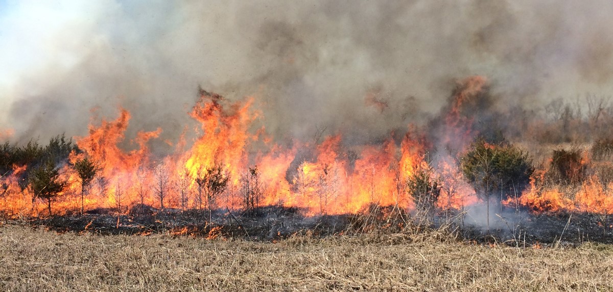 Using Prescribed Fire for Habitat Improvement