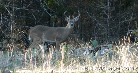 Late Season Deer Hunting