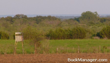 Deer Hunting in Texas