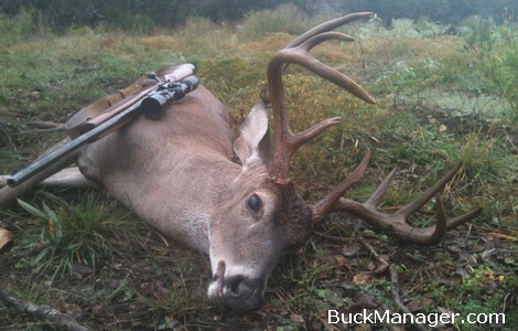 Deer Hunting in Texas - Best Hunting Times are When Deer are Active!