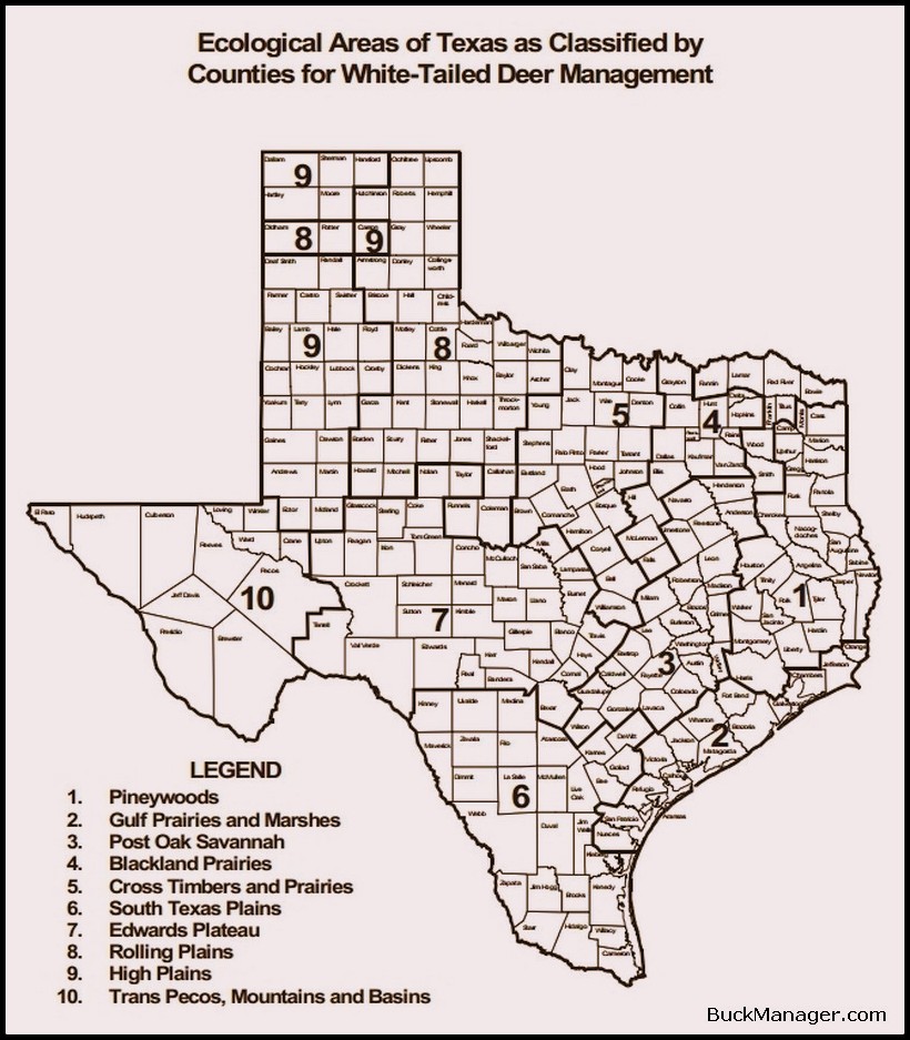 Texas Deer Hunting Ecoregions