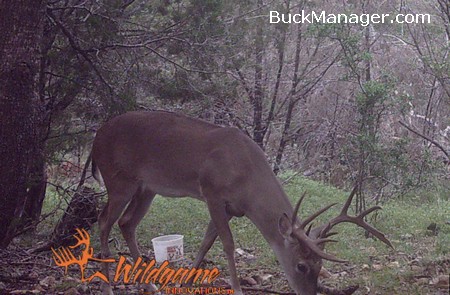 Deer Hunting Small Properties