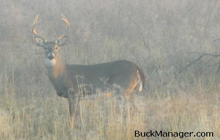 Texas Public Hunting