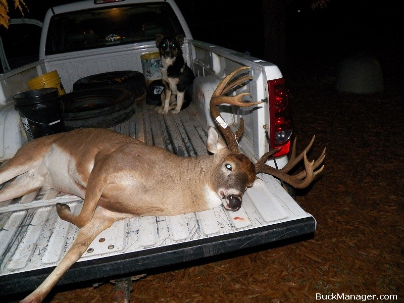 Mature Whitetail Buck Harvested in Bowie County, Texas