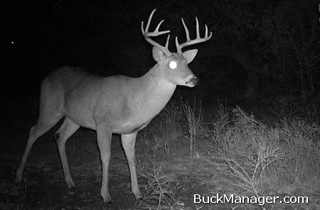 Hunting Food is Your Best Late Season Deer Hunting Tactic