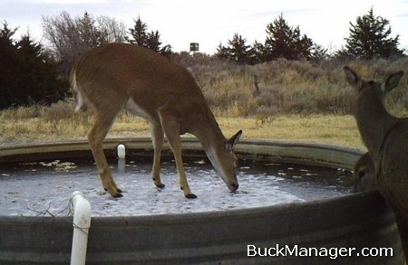 Deer Hunting in the Late Season