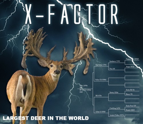 X-Factor: Are Mega-Bucks Good for Deer Hunting?