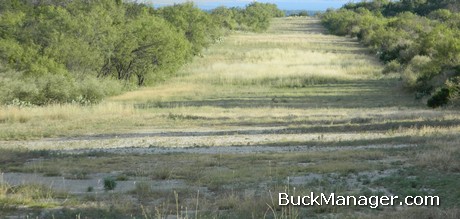 White-tailed Deer Management: Habitat on the Edge