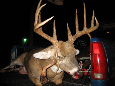 Big Kansas Buck Has Third Antler in the Eye