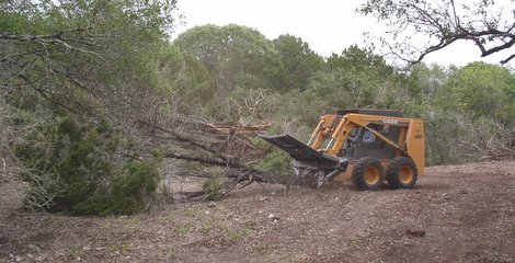 Habitat Management and Mechanical Brush Control