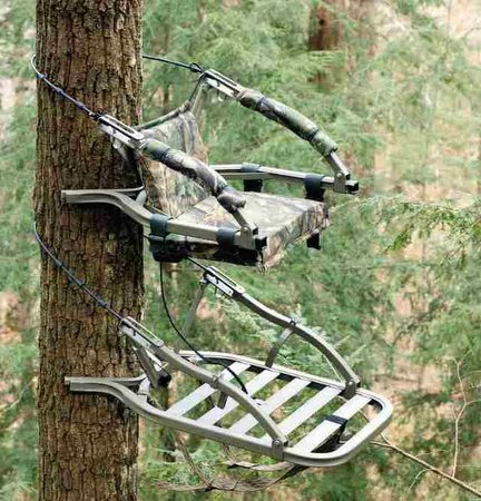 Tips for Tree Stand Safety